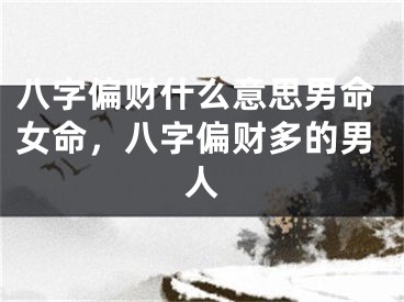 八字偏财什么意思男命女命，八字偏财多的男人
