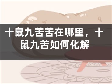 十鼠九苦苦在哪里，十鼠九苦如何化解