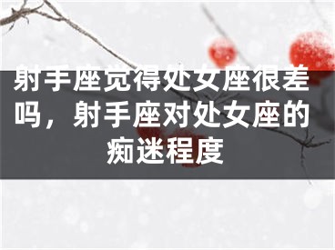 射手座觉得处女座很差吗，射手座对处女座的痴迷程度