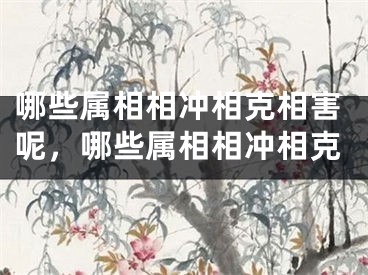 哪些属相相冲相克相害呢，哪些属相相冲相克