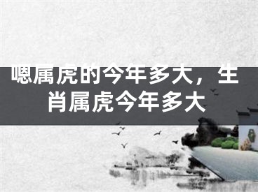 嗯属虎的今年多大，生肖属虎今年多大
