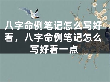 八字命例笔记怎么写好看，八字命例笔记怎么写好看一点