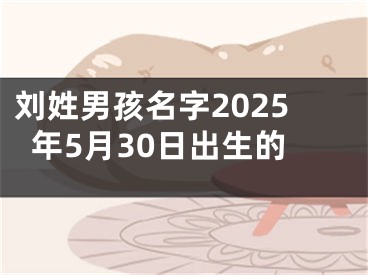 刘姓男孩名字2025年5月30日出生的