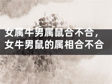 女属牛男属鼠合不合，女牛男鼠的属相合不合
