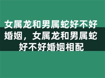 女属龙和男属蛇好不好婚姻，女属龙和男属蛇好不好婚姻相配
