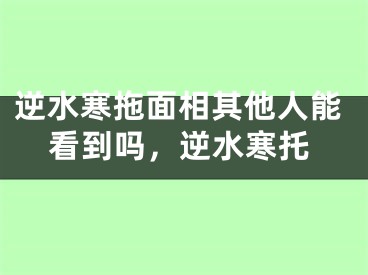 逆水寒拖面相其他人能看到吗,逆水寒托