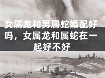 女属龙和男属蛇婚配好吗，女属龙和属蛇在一起好不好