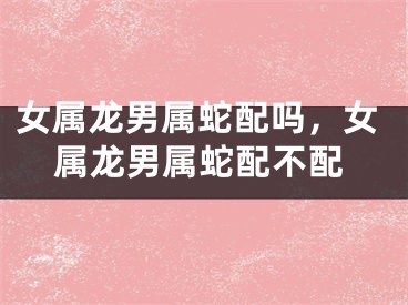 女属龙男属蛇配吗，女属龙男属蛇配不配