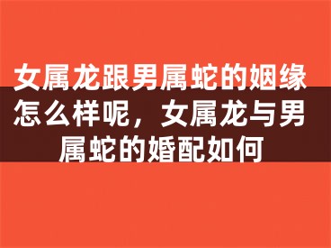 女属龙跟男属蛇的姻缘怎么样呢,女属龙与男属蛇的婚配如何