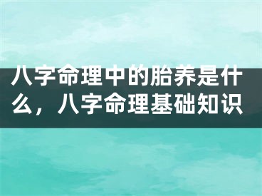 八字命理中的胎养是什么,八字命理基础知识