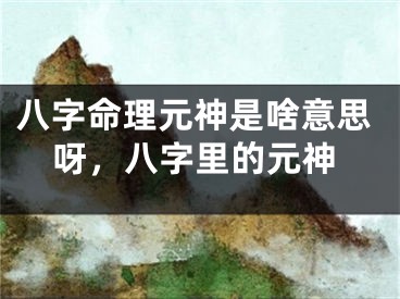 八字命理元神是啥意思呀,八字里的元神