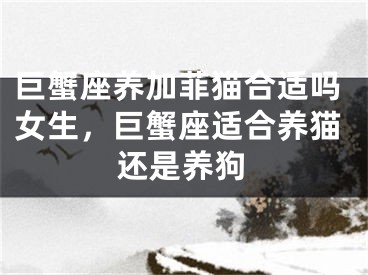 巨蟹座养加菲猫合适吗女生,巨蟹座适合养猫还是养狗