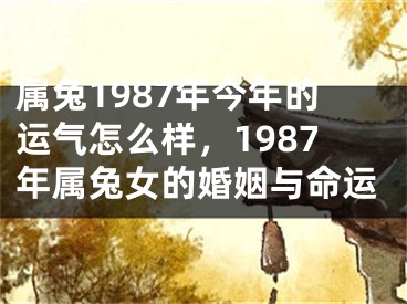 属兔1987年今年的运气怎么样,1987年属兔女的婚姻与命运