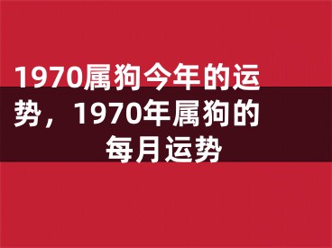 1970属狗今年的运势,1970年属狗的每月运势