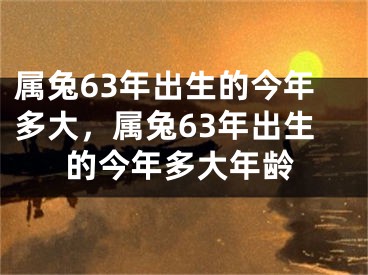 属兔63年出生的今年多大,属兔63年出生的今年多大年龄