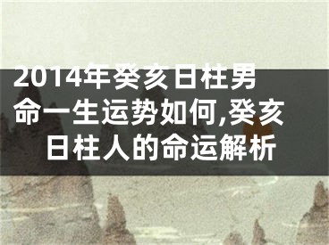 2014年癸亥日柱男命一生运势如何,癸亥日柱人的命运解析