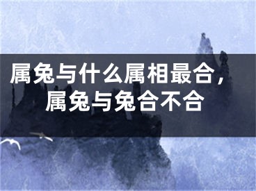 属兔与什么属相最合,属兔与兔合不合
