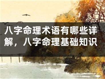 八字命理术语有哪些详解，八字命理基础知识