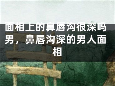 面相上的鼻唇沟很深吗男，鼻唇沟深的男人面相
