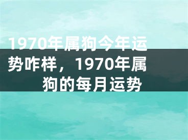 1970年属狗今年运势咋样,1970年属狗的每月运势