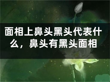 面相上鼻头黑头代表什么,鼻头有黑头面相