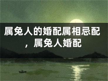 属兔人的婚配属相忌配，属兔人婚配