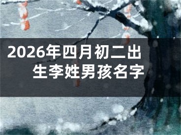 2026年四月初二出生李姓男孩名字