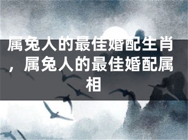 属兔人的最佳婚配生肖,属兔人的最佳婚配属相