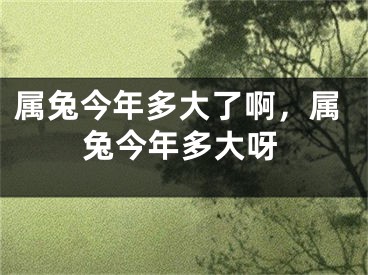 属兔今年多大了啊,属兔今年多大呀
