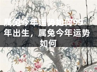 属兔今年运势如何99年出生,属兔今年运势如何