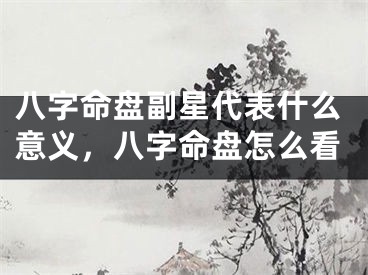 八字命盘副星代表什么意义，八字命盘怎么看