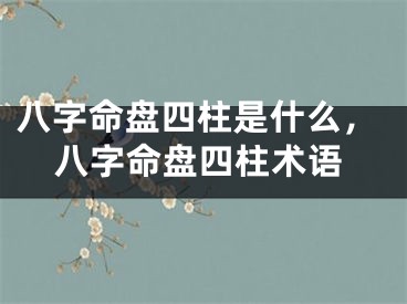 八字命盘四柱是什么，八字命盘四柱术语