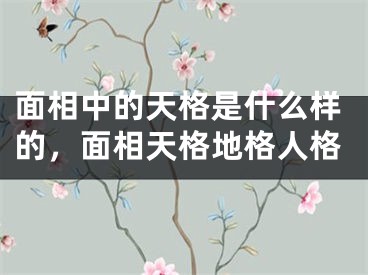 面相中的天格是什么样的,面相天格地格人格