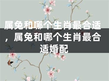 属兔和哪个生肖最合适,属兔和哪个生肖最合适婚配