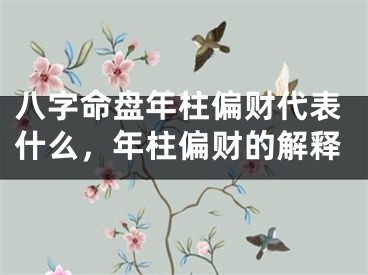 八字命盘年柱偏财代表什么，年柱偏财的解释