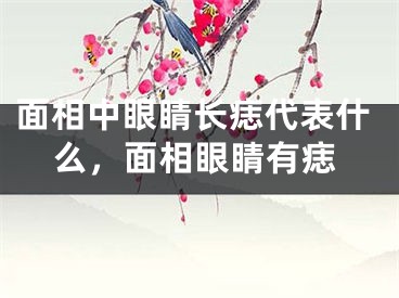 面相中眼睛长痣代表什么,面相眼睛有痣
