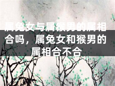 属兔女与属猴男的属相合吗,属兔女和猴男的属相合不合