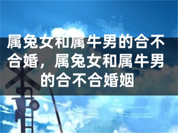 属兔女和属牛男的合不合婚,属兔女和属牛男的合不合婚姻