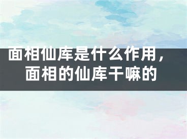 面相仙库是什么作用,面相的仙库干嘛的