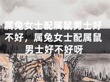属兔女士配属鼠男士好不好,属兔女士配属鼠男士好不好呀