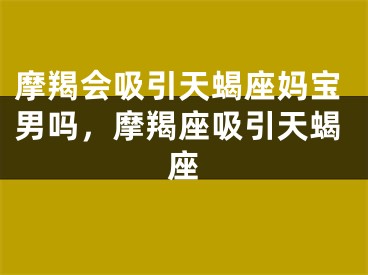 摩羯会吸引天蝎座妈宝男吗,摩羯座吸引天蝎座