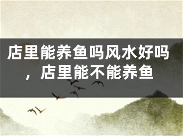 店里能养鱼吗风水好吗，店里能不能养鱼