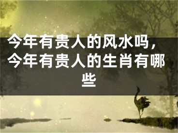 今年有贵人的风水吗,今年有贵人的生肖有哪些