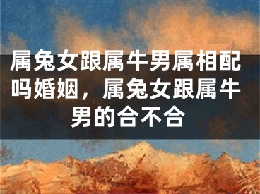 属兔女跟属牛男属相配吗婚姻,属兔女跟属牛男的合不合