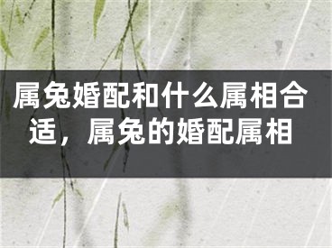 属兔婚配和什么属相合适,属兔的婚配属相