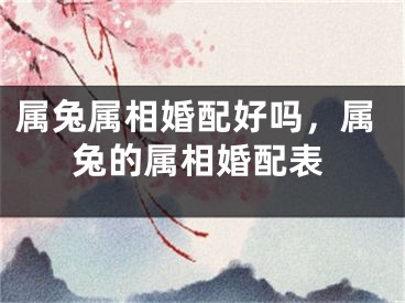 属兔属相婚配好吗,属兔的属相婚配表