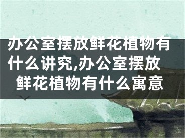 办公室摆放鲜花植物有什么讲究,办公室摆放鲜花植物有什么寓意