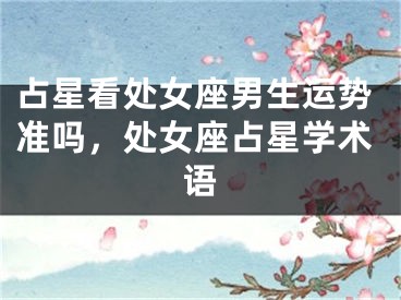 占星看处女座男生运势准吗,处女座占星学术语