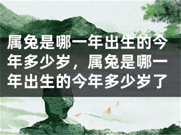 属兔是哪一年出生的今年多少岁,属兔是哪一年出生的今年多少岁了