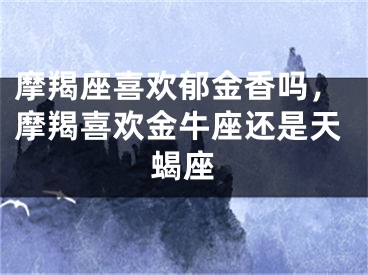 摩羯座喜欢郁金香吗,摩羯喜欢金牛座还是天蝎座